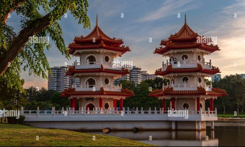 杨树药用-杨树 药用网-分享杨树入药，杨树的功能和主治知识库